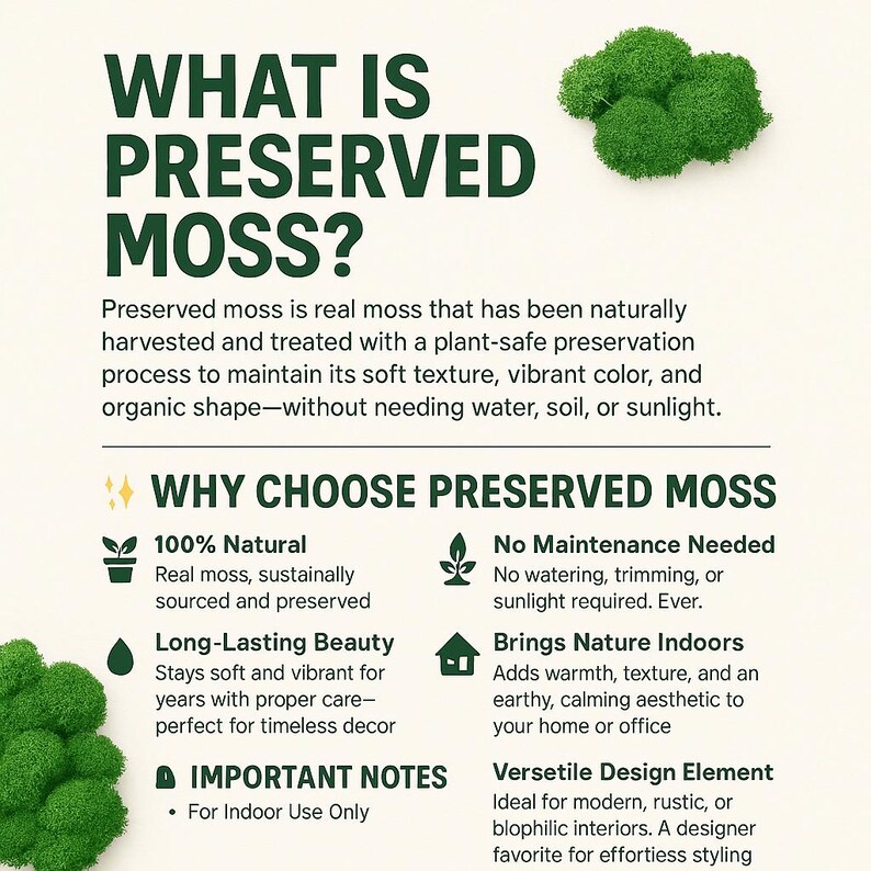 May include: An informational graphic titled WHAT IS PRESERVED MOSS? with text explaining the preservation process. It lists benefits like 100% natural, no maintenance, long-lasting beauty, and indoor use, accompanied by green moss clusters.