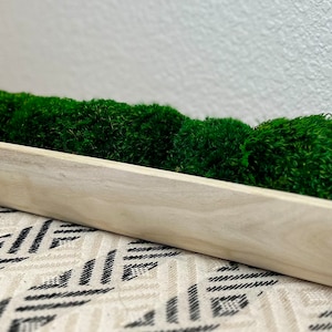 Preserved Moss Paulownia Bowl Sustainable Home Accent Eco-friendly Decor Biophilic Design Rustic Handmade Decoration Wedding Centerpiece Office Decor Home Staging Coffee Table Low Maintenance
