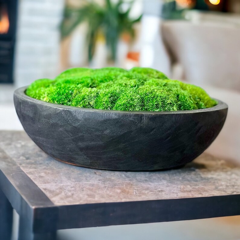 Large Moss Centerpiece for Table Moss Bowl Arrangement for Etsy