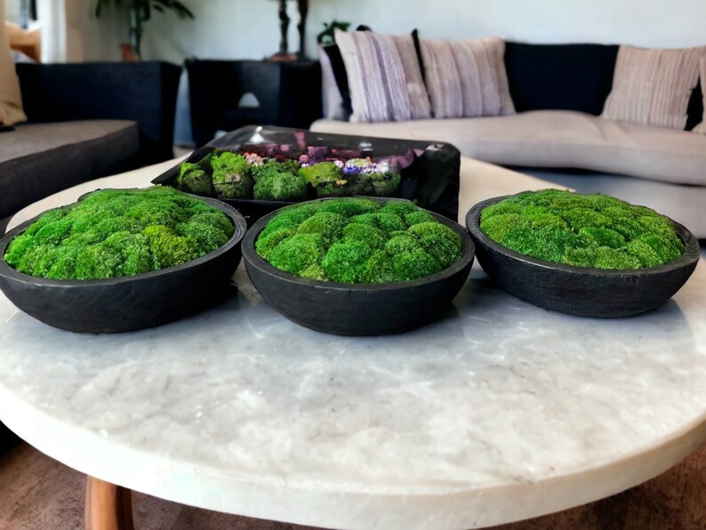 Large Moss Centerpiece for Table Moss Bowl Arrangement for Etsy