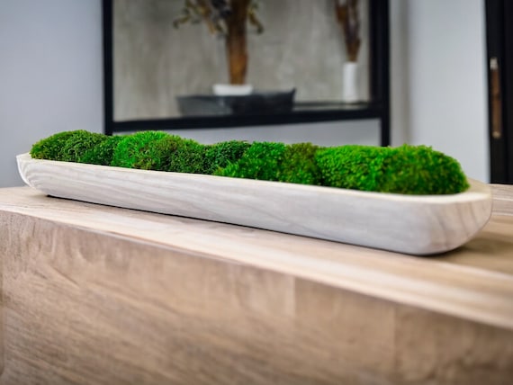 Preserved Moss White Centerpiece Paulownia Wood Bowl Eco-friendly Table Decor Natural Rustic Home Accent Sustainable Handmade Wooden Decor