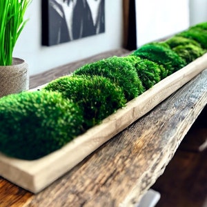 Extra long moss bowl centerpiece for tabletop decor Eco friendly centerpiece for dining room preserved moss decoration unique gift for home