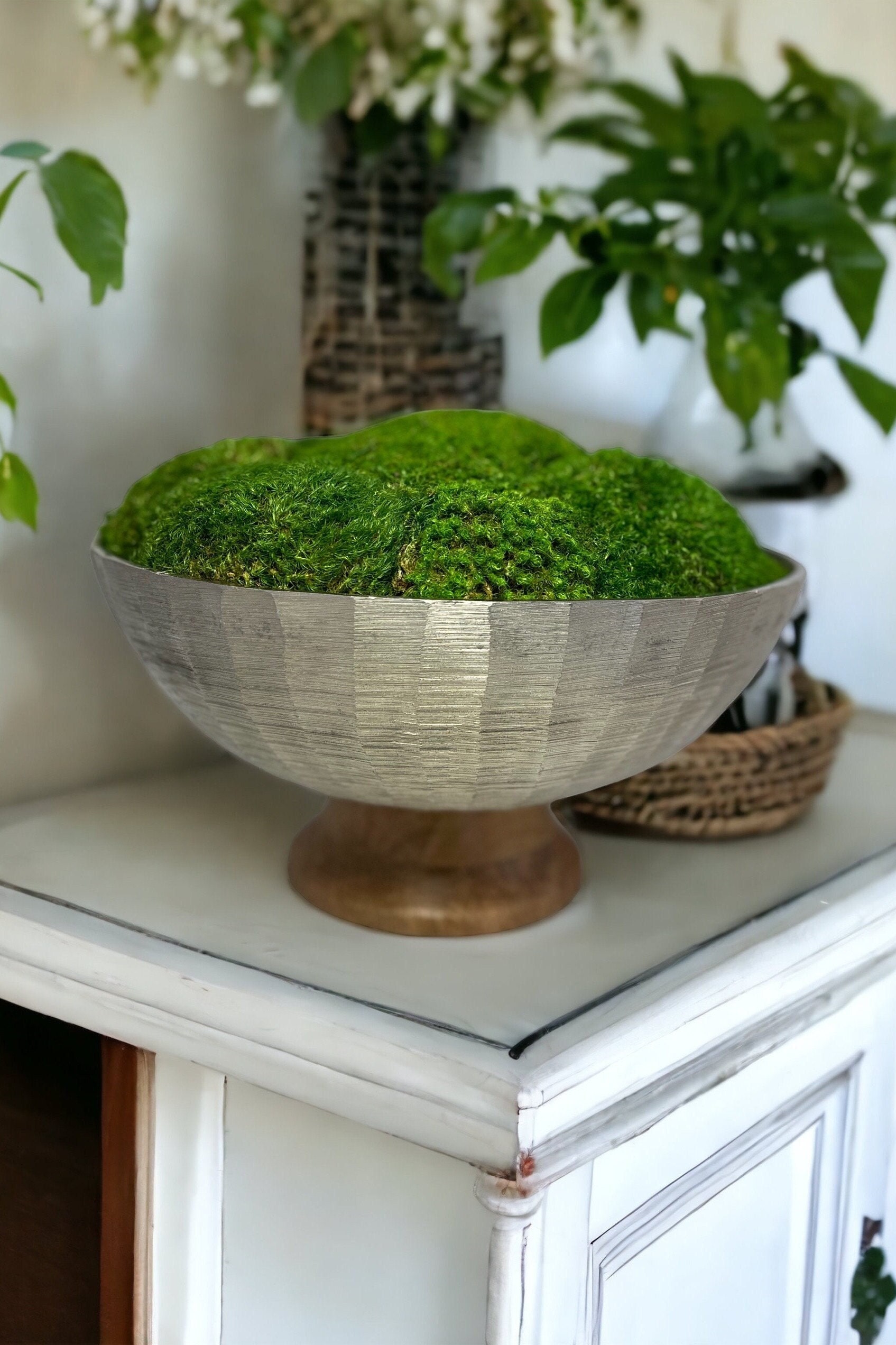 SALE Zen Concrete Handmade Moss Bowl Terrarium Centerpiece  Terrarium  centerpiece, Moss centerpieces, Large bowl centerpiece