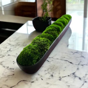 Biophilic Office Design Contemporary Home Accent Zero Maintenance Greenery Nature for Small Spaces Handmade Resin Trough Designer Moss Arrangement Urban Living Plant Alternative Green Decor Busy Professional Decor