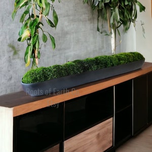 Resin Trough Centerpiece Faux Plant Minimalist Home Accent Nature Inspired Decor Office Table Shelf Modern Planter Low Maintenance Greenery Preserved Moss Arrangement Biophilic Design Indoor Nature
