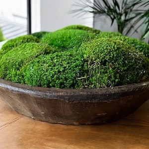 Wooden Bowl with Moss Preserved Centerpiece Natural Home Accent Coffee Table Decor No Maintenance Indoor Garden Rustic Unique Gift Eco