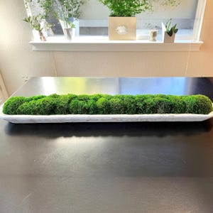 May include: A long, rectangular white wooden dough bowl filled with vibrant green preserved moss. The bowl has a distressed finish with visible wood grain and texture, holding a dense, continuous layer of natural moss that spans the entire length.
