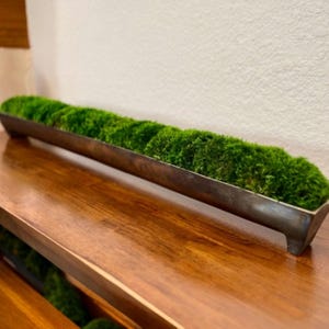 Preserved Moss Centerpiece Metal Trough Planter Table Decor Biophilic Design Natural Accent Indoor Greenery Rustic Modern Farmhouse decor