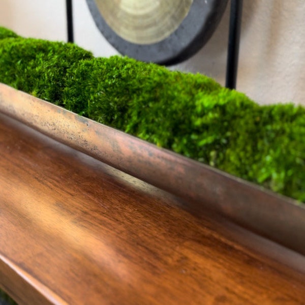 Xtra long moss centerpiece for dining table moss arrangement table top planter for office gift moss bowl bronze centerpiece modern farmhouse