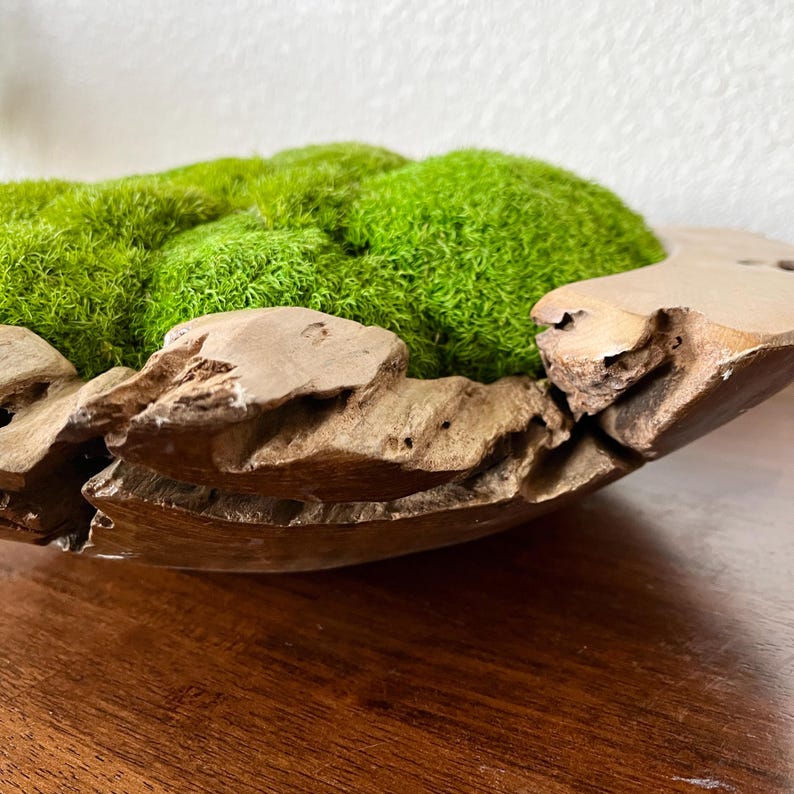 ROOTSOFEARTHCO Teak Bowl - Thumbnail 3