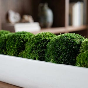 大型の禅風苔鉢センターピース - バイオフィリックデザインの高級ホームデコレーション - モダンなオフィス向けのミニマルでモダンな樹脂製トラフアレンジメント 画像 3
