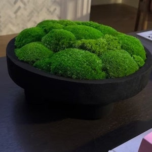 Moss Bowl arrangement for coffe table centerpiece modern home decor emerald green moss in rustic wooden bowl luxe gift for new home owner