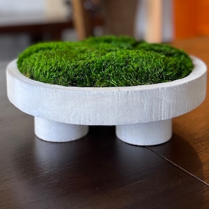 Moos Schüssel Dekor Couchtisch Herzstück weißer rustikaler Akzent Home Display konserviertes Moos Holzpflanzer Bauernhausstil modernes Geschenkdekor