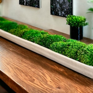 Extra long moss bowl centerpiece for tabletop decor Eco friendly centerpiece for dining room preserved moss decoration unique gift for home