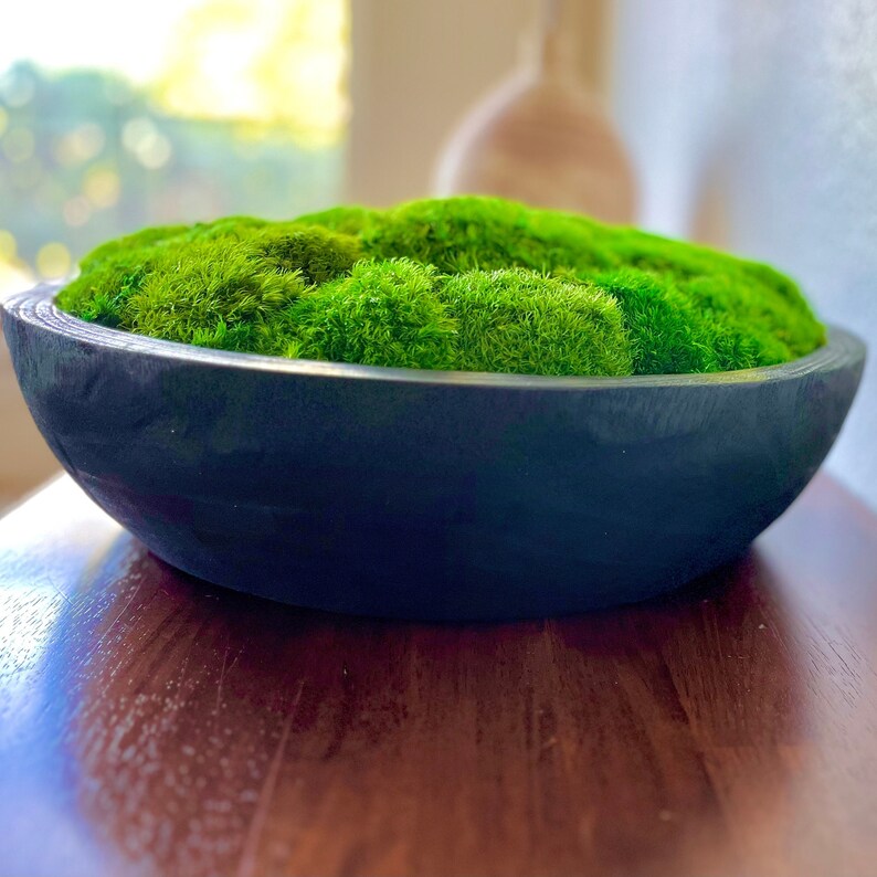 Large Moss Centerpiece for Table Moss Bowl Arrangement for Etsy