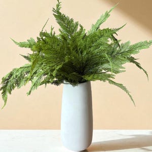 Può includere: Un vaso alto, azzurro, contiene una vivace composizione di fogliame verde simile a felci. Il vaso ha una finitura liscia e opaca e una forma semplice ed elegante. Le foglie verde brillante contrastano con il colore neutro del vaso.