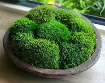 Moss Bowl centerpiece Rustic preserved moss centerpiece moss office decor moss wedding centerpiece natural wood bowl centerpiece moss decor