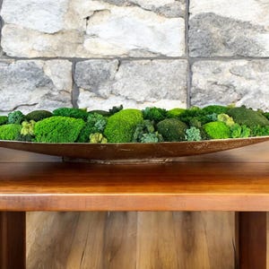 preserved moss design for dining table centerpiece moss bowl gift for home or office