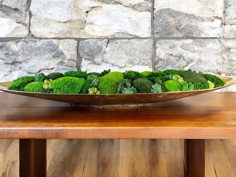 preserved moss design for dining table centerpiece moss bowl gift for home or office