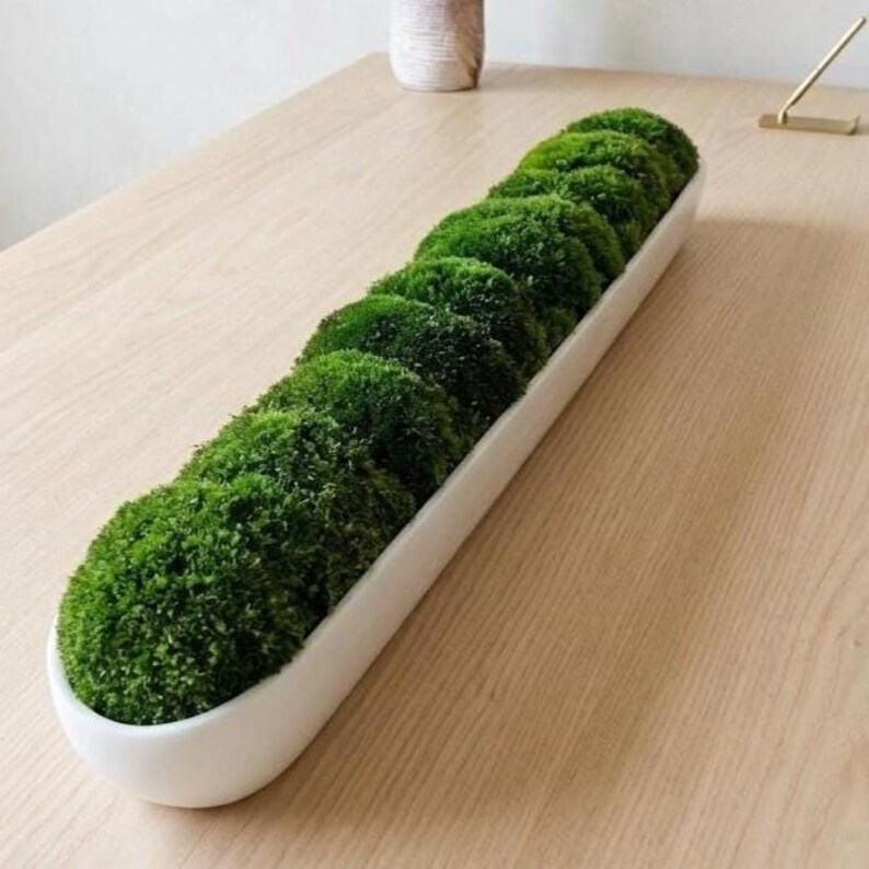 Eco Friendly Decor Modern Centerpiece Office Greenery Real Estate Staging Board Room Decor Sustainable Home Accent No Care Plants Green Office Decor Nature Inspired Gift Sleek Plant Display Preserved Moss Art