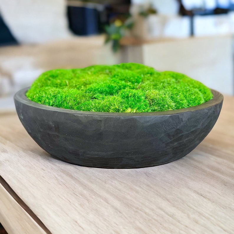 Large Moss Centerpiece for Table Moss Bowl Arrangement for Etsy