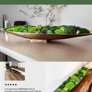 May include: A long, shallow, metallic gold-toned boat-shaped bowl filled with various shades of green preserved moss and a small sprig. The text "Choose Gold or Silver, Water Neither" and "ROOTS OF EARTH CO." appear on the image with a review.