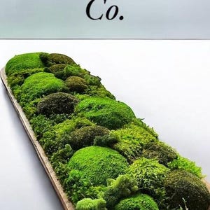 Preserved Moss Dough Bowl Centerpiece Woodland Wedding Decor Maintenance Free Greenery Oversized Centerpiece Statement Piece Decor Rustic Wedding Centerpiece Large Scale Decor Indoor Nature Decor Moss Table Runner