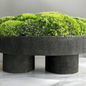 Preserved Moss Centerpiece Coffee Table Decor Modern Home Decor Black Pedestal Bowl Natural Plant Accent Table Boho Nature Housewarming Gift