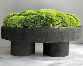 Preserved Moss Centerpiece Coffee Table Decor Modern Home Decor Black Pedestal Bowl Natural Plant Accent Table Boho Nature Housewarming Gift
