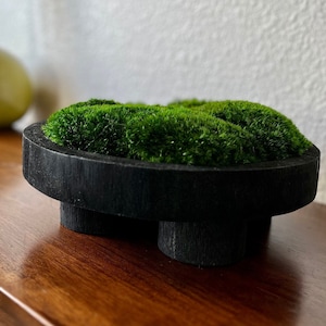 May include: A circular black wooden stand with three short legs, filled with a dense, vibrant green preserved moss. The texture of the wood is visible on the sides of the stand, and the moss forms a rounded, textured mound within the frame.