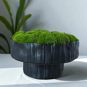 May include: A black, textured, pedestal planter filled with vibrant green moss. The planter has a wide, oval-shaped top and a cylindrical base. The moss is lush and covers the entire top surface, creating a natural, decorative element.