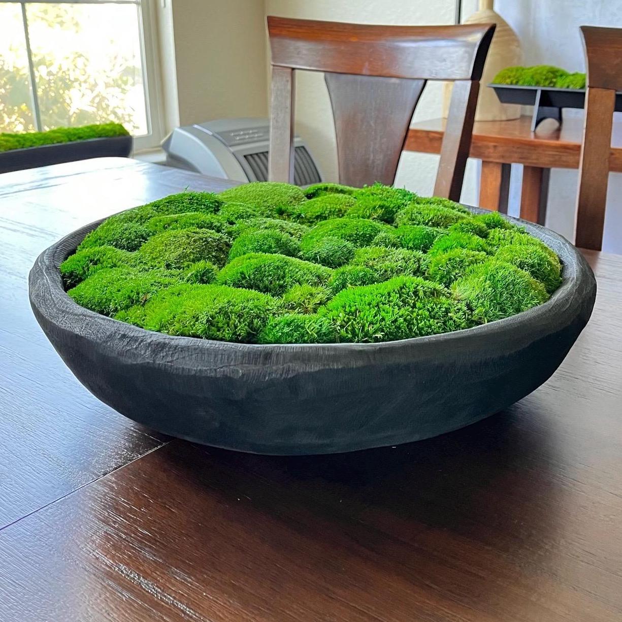 Preserved Moss Bowl Coffee Table Centerpiece Modern Home Decor Nature ...