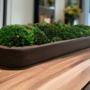 Sustainable Home Decor Paulownia Wood Bowl Preserved Moss Eco-friendly Rustic Handmade Decoration Biophilic Design Wedding Centerpiece Office Decor Home Staging Low Maintenance Greenery