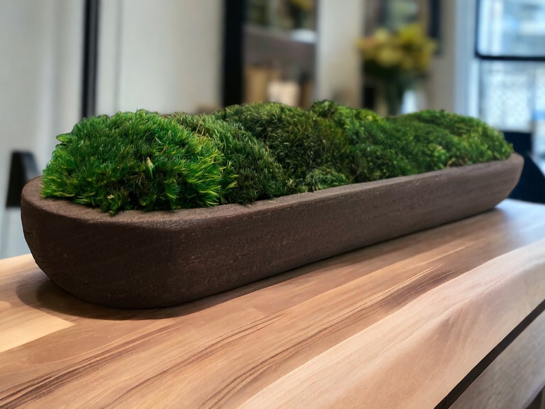 Sustainable Home Decor Paulownia Wood Bowl Preserved Moss Eco-friendly Rustic Handmade Decoration Biophilic Design Wedding Centerpiece Office Decor Home Staging Low Maintenance Greenery