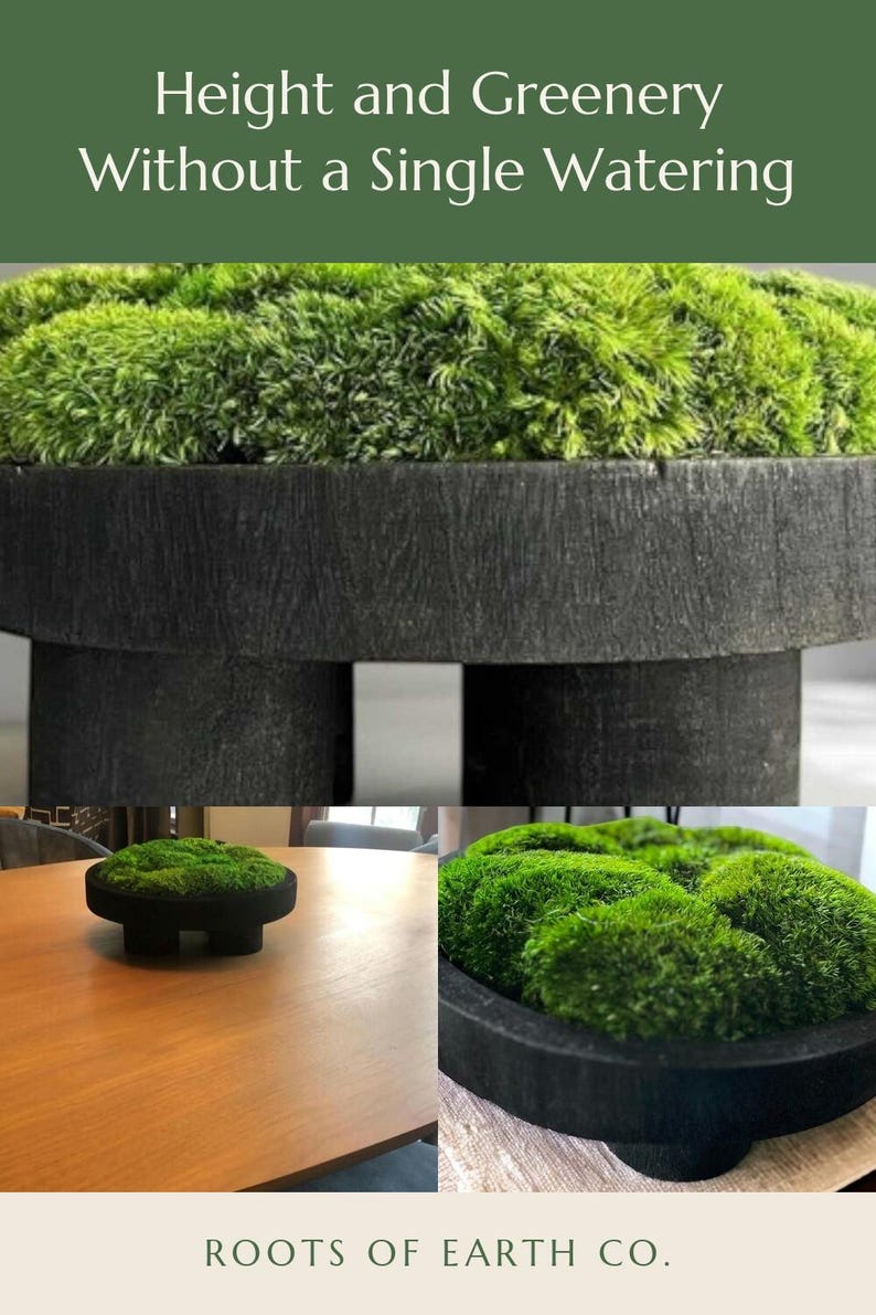 May include: A round black wooden pedestal bowl filled with vibrant green preserved moss. The text "Height and Greenery Without a Single Watering" appears at the top, and "ROOTS OF EARTH CO." is printed at the bottom of the image display.