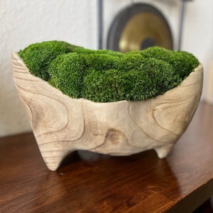 Moss bowl for coffee table cottagecore unique table decoration centerpiece luxury home decor preserved moss dough bowl unique tabletop gift