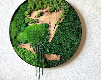 Preserved Moss Art Wall Hanging Zen Decoration Yoga Room Meditation Space Botanical Design Natural Element Green Aesthetic Round Frame Metal