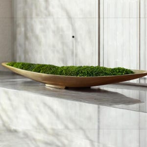 Może przedstawiać: Długa, złota miska dekoracyjna wypełniona żywym zielonym mchem. Misa ma gładką, zakrzywioną konstrukcję i stoi na odblaskowej powierzchni. Mech dodaje naturalny element do wystroju. Misa ma około 76 cm długości.