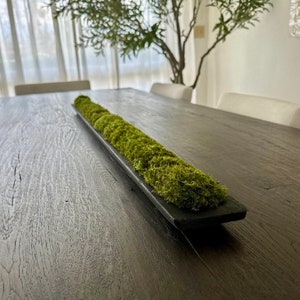 Lange Moos Schale Herzstück für Esstisch Mittelstück mit konserviertem Moos schwarz Holz langes Tablett Bauernhaus Boho Natur Geschenk für Home Inszenierung