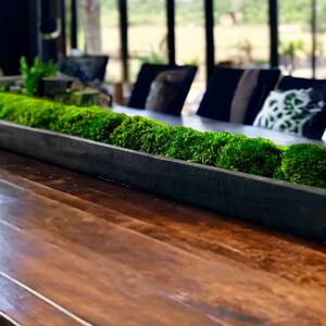 Natural Wood Moss Decor Sustainable Home Accent Biophilic Design Paulownia Bowl Wedding Centerpiece Eco-friendly Rustic Handmade Decoration Preserved Moss Table Centerpiece Office Decor Home Staging Coffee Table Decor