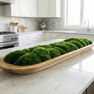 Extra-Large 40 inch Handmade Wood Bowl with Preserved Moss – Rustic, Low-Maintenance Table Accent Light Teak Wood