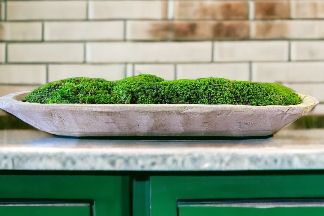 Moss Centerpiece Preserved Moss Bowl Centerpiece for Dining Table Moss