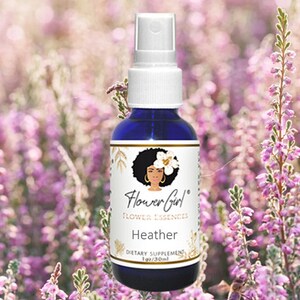 SELF-ABSORBED -- Heather flower essence