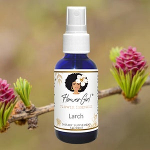 LACKS CONFIDENCE -- Larch flower essence