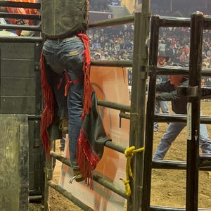 May include: A cowboy wearing a brown hat, plaid shirt, and a dark vest, leans against a metal fence. Red chaps with fringe hang from the cowboy's waist. The background shows a crowd at a rodeo event.