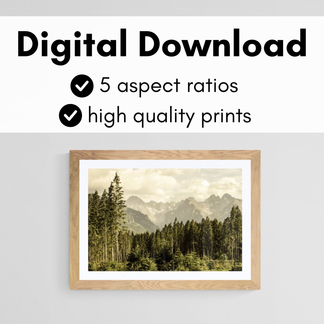 Forest Landscape High Quality Large Prints Printable in 5 Etsy