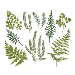 Pacote de design de bordado de máquina de ramos de samambaia verde floresta, 10 samambaias, padrão de ramo de casamento botânico, download instantâneo com zíper - 5 tamanhos