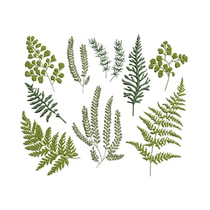 Paquete de diseños de bordado a máquina de ramas de helecho verde bosque, patrón de descarga instantánea en formato Zip - 5 tamaños