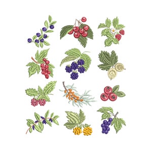 12 Berries Machine Embroidery Design Bundle, Berry Blueberry Raspberry Strawberry Blackcurrant Cherry  Instant Download Zip - 5 Sizes