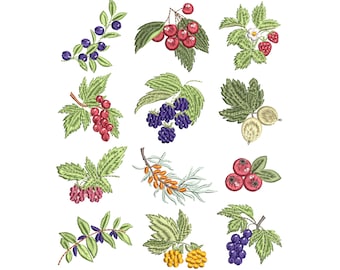 12 Berries Machine Embroidery Design Bundle, Berry Blueberry Raspberry Strawberry Blackcurrant Cherry  Instant Download Zip - 5 Sizes
